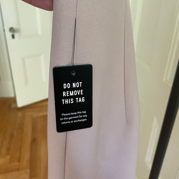 NWT Express Petite Dotted Lace Sleeveless Mini Cocktail Dress. Mauve. Size 0. - Picture 7 of 7